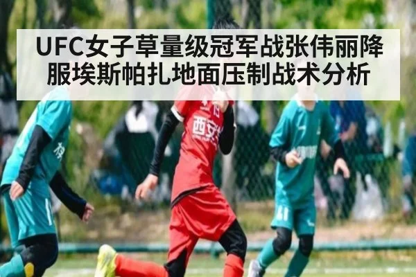 UFC女子草量级冠军战张伟丽降服埃斯帕扎地面压制战术分析